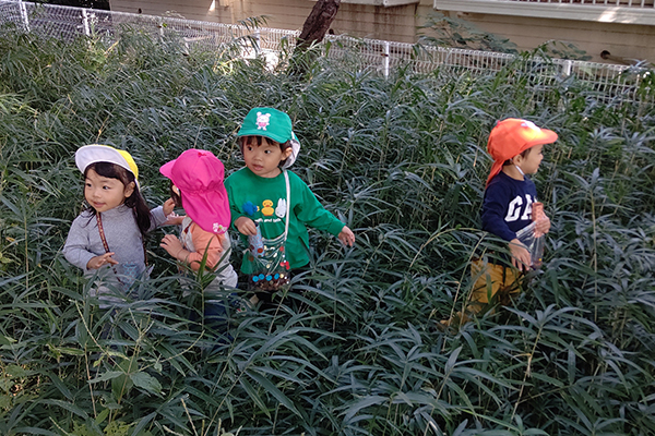 保育園の園児