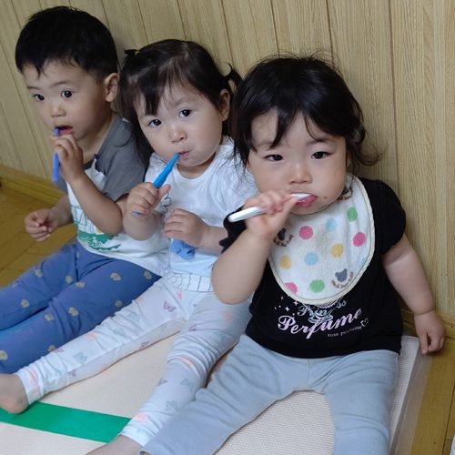 歯磨きする保育園の園児